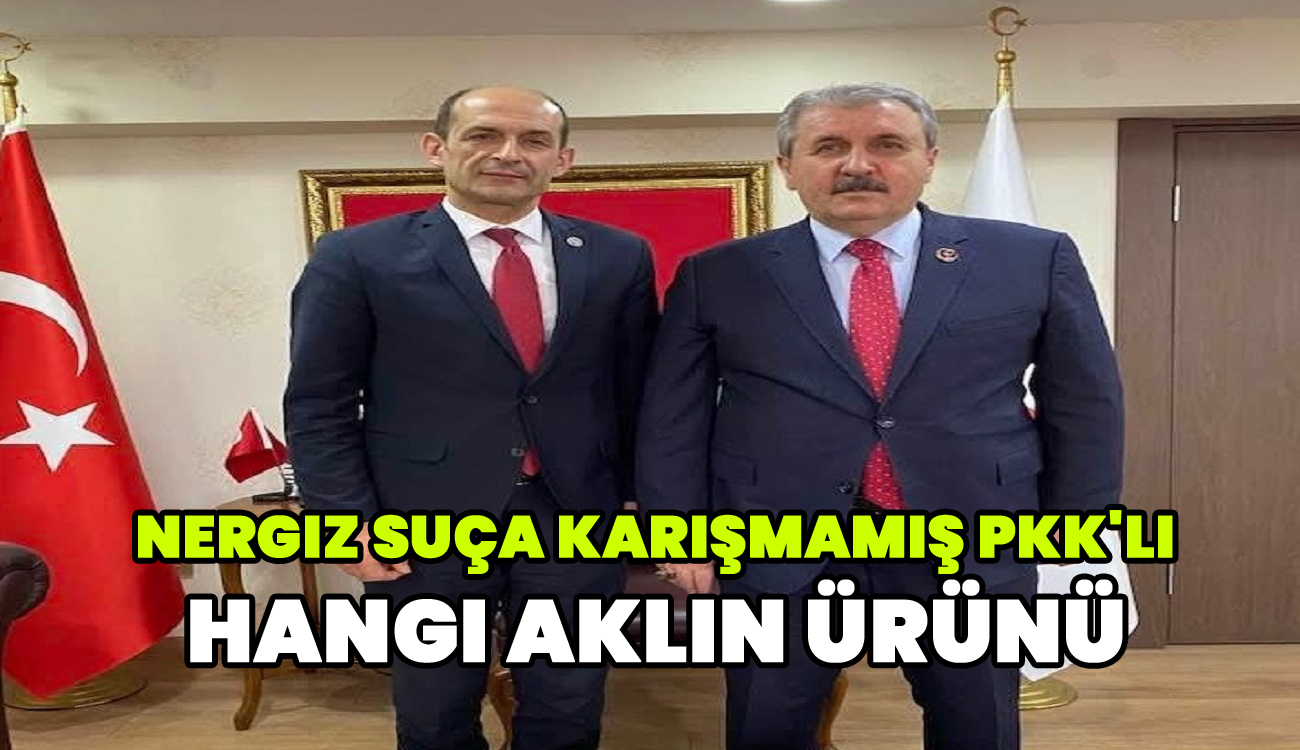 Nergiz Suça Karışmamış PKK'lı hangi aklın ürünü
